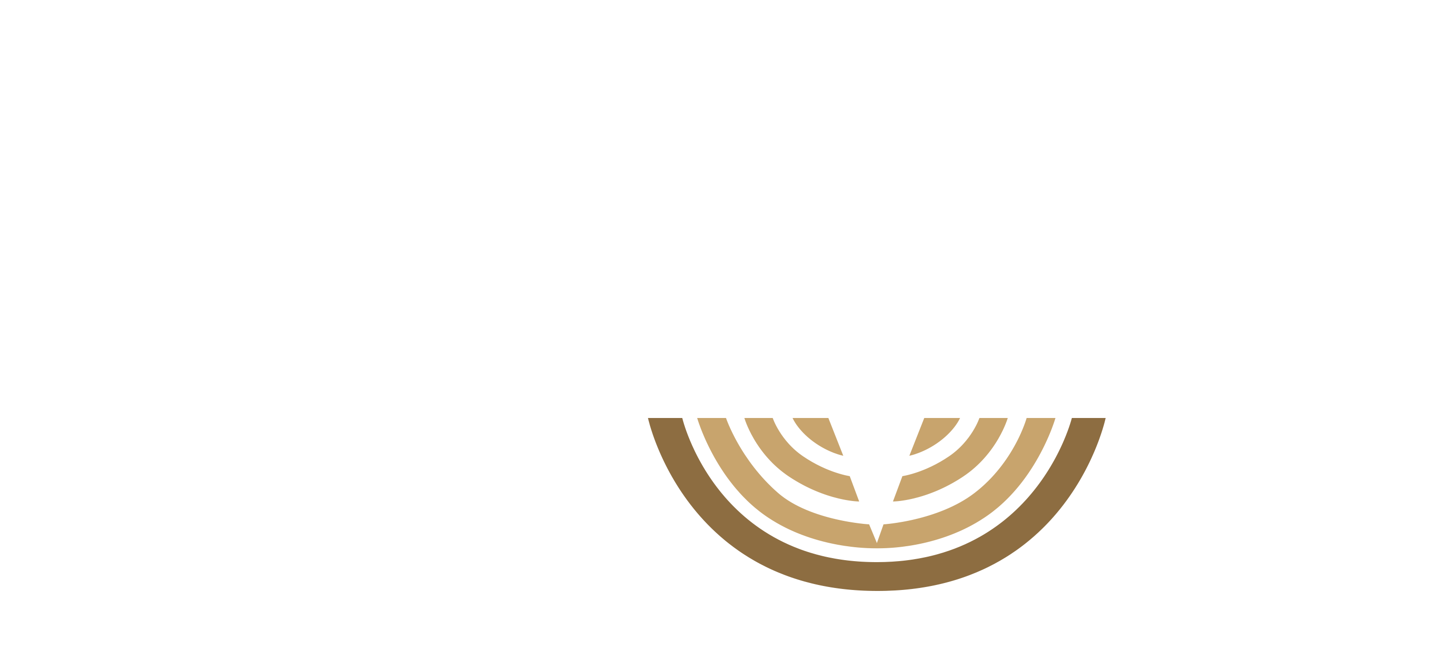 Halkova Oy